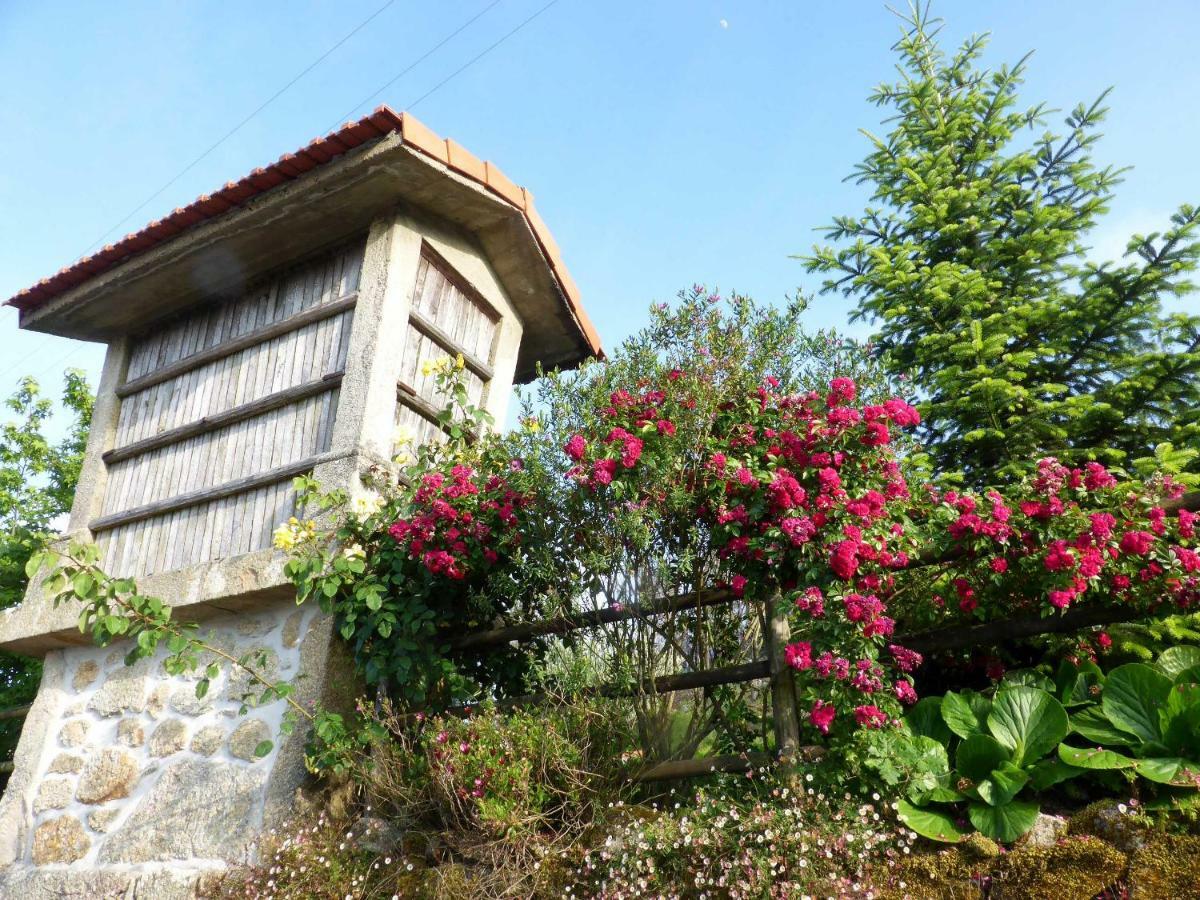 Casa Da Eira Velha Vila Vale de Cambra Exterior foto