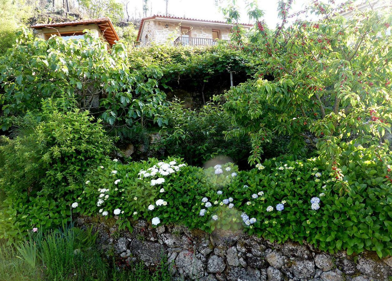 Casa Da Eira Velha Vila Vale de Cambra Exterior foto